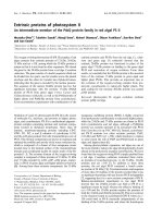 Báo cáo khoa học: Extrinsic proteins of photosystem II An intermediate member of the PsbQ protein family in red algal PS II ppt