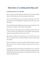 Khái niệm cũ và những hành động mới ppt