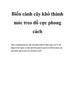 Biến cành cây khô thành móc treo đồ cực phong cách pptx