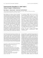 Báo cáo khóa học: Furanocoumarin biosynthesis in Ammi majus L. Cloning of bergaptol O-methyltransferase ppt