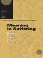Meaning in Suffering Caring Practices in the Health Professions pptx