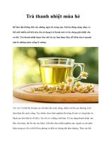 Trà thanh nhiệt mùa hè ppt