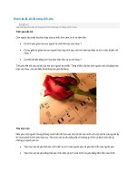 tình yêu có điều kiện