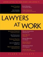 Lawyers at Work docx