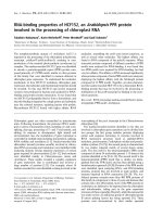 Báo cáo khoa học: RNA-binding properties of HCF152, an Arabidopsis PPR protein involved in the processing of chloroplast RNA pdf
