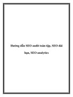 Hướng dẫn SEO audit toàn tập, SEO dài hạn, SEO analytics docx