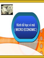 Kinh tế học vi mô potx