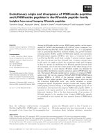 Báo cáo khoa học: Evolutionary origin and divergence of PQRFamide peptides and LPXRFamide peptides in the RFamide peptide family pdf