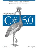 programming c# 5.0 