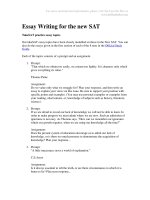 Essay Writing for the new SAT potx