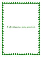 Bí mật mũi cao thon không phẫu thuật. pptx