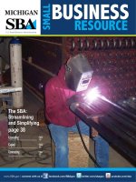 MICHIGAN SBA - The SBA: Streamlining and Simplifying doc
