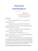 Nhện gié hại lúa và biện pháp phòng trừ. pot