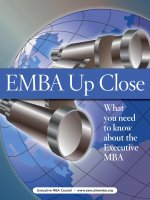 EMBA UP CLOSE - WHAT YOU NEED TO KNOW ABOUT THE EXECUTIVE MBA docx