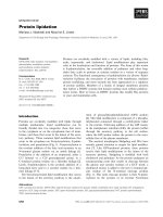 Báo cáo khoa học: Protein lipidation doc