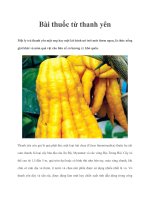 Bài thuốc từ thanh yên docx