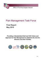 Pain Management Task Force doc