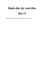 Bánh dâu tây tươi đón thu về pptx