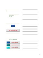 Quy trình kiểm toán pot