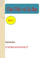 Thuyết trình đề tài pot