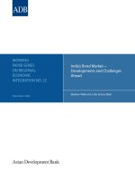 WORKING PAPER SERIES ON REGIONAL ECONOMIC INTEGRATION NO. 22: India’s Bond Market— Developments and Challenges Ahead docx