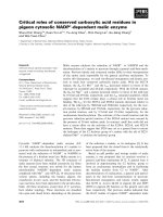 Báo cáo khoa học: Critical roles of conserved carboxylic acid residues in pigeon cytosolic NADP+-dependent malic enzyme docx