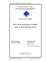phân tích tình hình tài chính công ty bảo hiểm bảo việt hậu giang