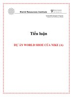 Tiểu luận: DỰ ÁN WORLD SHOE CỦA NIKE (A) pot