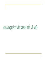 Khái quát về Kinh tế vĩ mô pdf