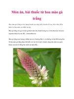 Món ăn, bài thuốc từ hoa mào gà trắng doc