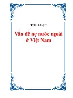 TIỂU LUẬN: Vấn đề nợ nước ngoài ở Việt Nam ppt