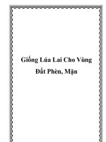 Giống Lúa Lai Cho Vùng Đất Phèn, Mặn pdf