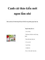 Canh cải thảo kiểu mới ngon lắm nhé docx