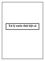 Xử lý nước thải bột cá pdf