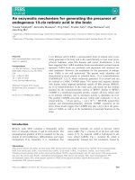 Báo cáo khoa học: An enzymatic mechanism for generating the precursor of endogenous 13-cis retinoic acid in the brain docx