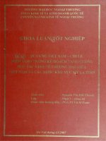 Quan hệ Việt Nam - Chi Lê điểm sáng trong kế hoạch tăng cường hợp tác kinh tế thương mại giữa Việt Nam và các nước khu vực Mỹ La Tinh