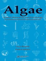 Algae   anatomy, biochemistry, and biotechnology