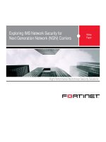 Exploring IMS Network Security for Next Generation Network (NGN) Carriers pdf