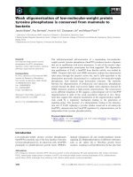 Báo cáo khoa học: Weak oligomerization of low-molecular-weight protein tyrosine phosphatase is conserved from mammals to bacteria pot