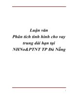 Luận văn Phân tích tình hình cho vay trung dài hạn tại NHNo&PTNT TP Đà Nẵng ppt
