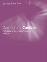 Connect and Catalyse: A strategy for business innovation 2008-2011 pdf