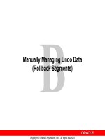 Manually Managing Undo Data (Rollback Segments) pot