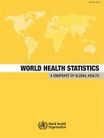 WORLD HEALTH STATISTICS A SNAPSHOT OF GLOBAL HEALTH ppt