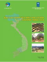 Báo cáo phân tích điều tra cơ bản chương trình 135-II pdf