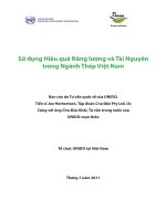 Sử dụng Hiệu quả Năng lượng và Tài Nguyên trong Ngành Thép Việt Nam pdf