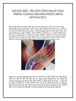 NỘI SOI ĐIỀU TRỊ DÃN TĨNH MẠCH TÂMPHÌNH VỊ BẰNG PHƯƠNG PHÁP CHÍCH HISTOACRYL pptx