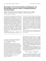 Báo cáo khoa học: Bioenergetics of the formyl-methanofuran dehydrogenase and heterodisulﬁde reductase reactions in Methanothermobacter thermautotrophicus pot