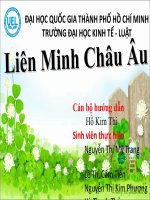 Liên minh châu Âu- EU doc