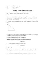 Bài tập Kinh Tế Học Lao Động pptx