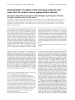 Báo cáo khoa học: Characterization of scorpion a-like toxin group using two new toxins from the scorpion Leiurus quinquestriatus hebraeus doc